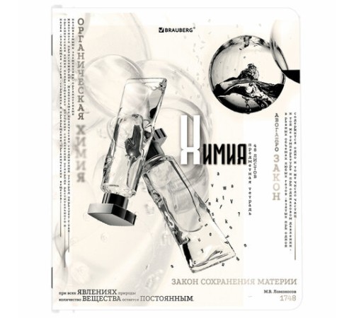 Тетради предметные, КОМПЛЕКТ 12 ПРЕДМЕТОВ, 48 л., матовая ламинация, BRAUBERG, 