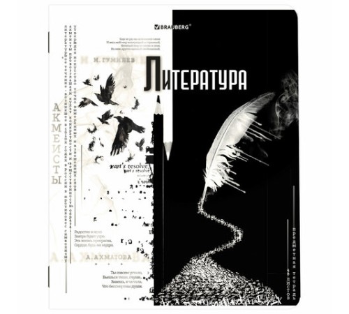 Тетради предметные, КОМПЛЕКТ 12 ПРЕДМЕТОВ, 48 л., матовая ламинация, BRAUBERG, 