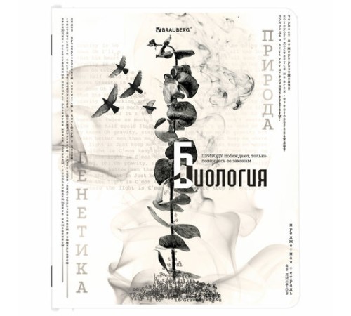 Тетради предметные, КОМПЛЕКТ 12 ПРЕДМЕТОВ, 48 л., матовая ламинация, BRAUBERG, 