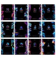 Тетради предметные, КОМПЛЕКТ 12 ПРЕДМЕТОВ, 48 л., глянцевый УФ-лак, BRAUBERG, 