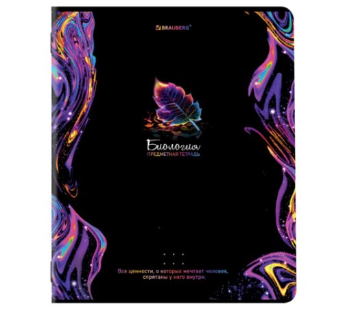 Тетради предметные, КОМПЛЕКТ 12 ПРЕДМЕТОВ, 48 л., глянцевый УФ-лак, BRAUBERG, 