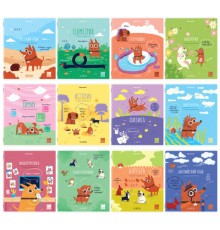 Тетради предметные, КОМПЛЕКТ 12 ПРЕДМЕТОВ, 48 л., TWIN-лак, BRAUBERG, 