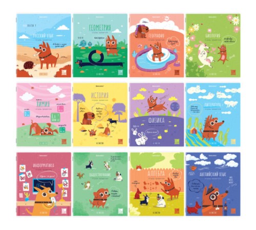 Тетради предметные, КОМПЛЕКТ 12 ПРЕДМЕТОВ, 48 л., TWIN-лак, BRAUBERG, 