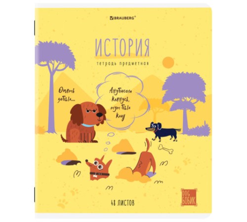 Тетради предметные, КОМПЛЕКТ 12 ПРЕДМЕТОВ, 48 л., TWIN-лак, BRAUBERG, 