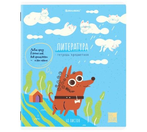 Тетради предметные, КОМПЛЕКТ 12 ПРЕДМЕТОВ, 48 л., TWIN-лак, BRAUBERG, 