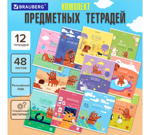Тетради предметные, КОМПЛЕКТ 12 ПРЕДМЕТОВ, 48 л., TWIN-лак, BRAUBERG, 