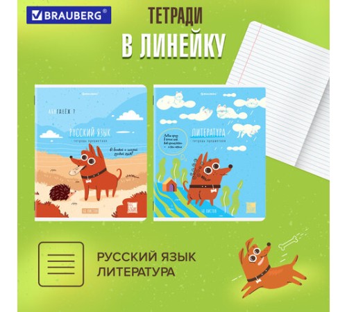 Тетради предметные, КОМПЛЕКТ 12 ПРЕДМЕТОВ, 48 л., TWIN-лак, BRAUBERG, 