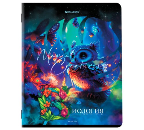 Тетради предметные, КОМПЛЕКТ 12 ПРЕДМЕТОВ, 48 л., глянцевый УФ-лак, BRAUBERG, 