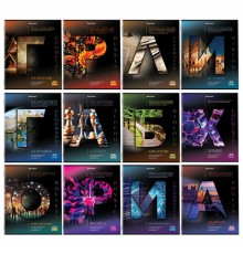 Тетради предметные, КОМПЛЕКТ 12 ПРЕДМЕТОВ, 48 л., обложка картон, BRAUBERG, 