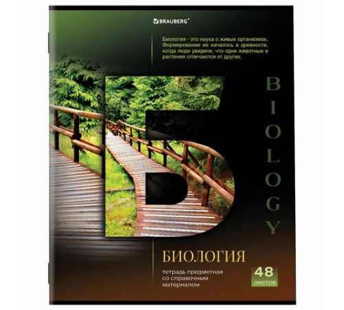 Тетради предметные, КОМПЛЕКТ 12 ПРЕДМЕТОВ, 48 л., обложка картон, BRAUBERG, 