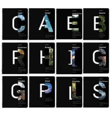 Тетради предметные, КОМПЛЕКТ 12 ПРЕДМЕТОВ, 48 л., матовая ламинация, BRAUBERG, 