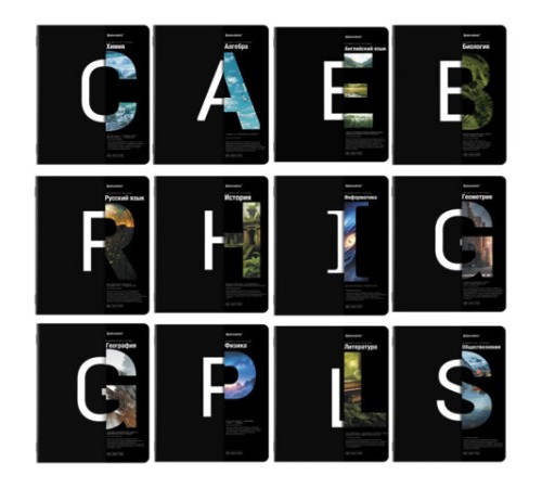 Тетради предметные, КОМПЛЕКТ 12 ПРЕДМЕТОВ, 48 л., матовая ламинация, BRAUBERG, 