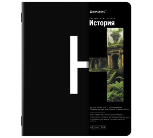Тетради предметные, КОМПЛЕКТ 12 ПРЕДМЕТОВ, 48 л., матовая ламинация, BRAUBERG, 