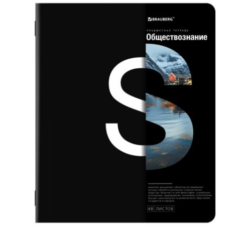 Тетради предметные, КОМПЛЕКТ 12 ПРЕДМЕТОВ, 48 л., матовая ламинация, BRAUBERG, 