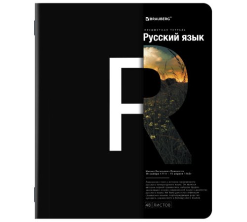 Тетради предметные, КОМПЛЕКТ 12 ПРЕДМЕТОВ, 48 л., матовая ламинация, BRAUBERG, 