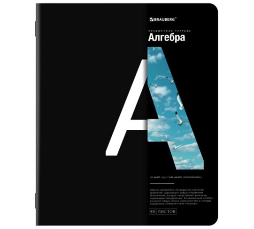 Тетради предметные, КОМПЛЕКТ 12 ПРЕДМЕТОВ, 48 л., матовая ламинация, BRAUBERG, 