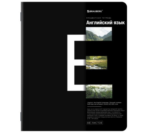 Тетради предметные, КОМПЛЕКТ 12 ПРЕДМЕТОВ, 48 л., матовая ламинация, BRAUBERG, 