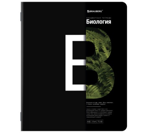 Тетради предметные, КОМПЛЕКТ 12 ПРЕДМЕТОВ, 48 л., матовая ламинация, BRAUBERG, 