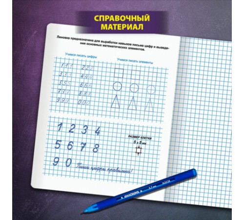 Тетрадь ПРОПИСЬ № 6 12 л. клетка, со справочным материалом, обложка картон, ЮНЛАНДИЯ, 404849