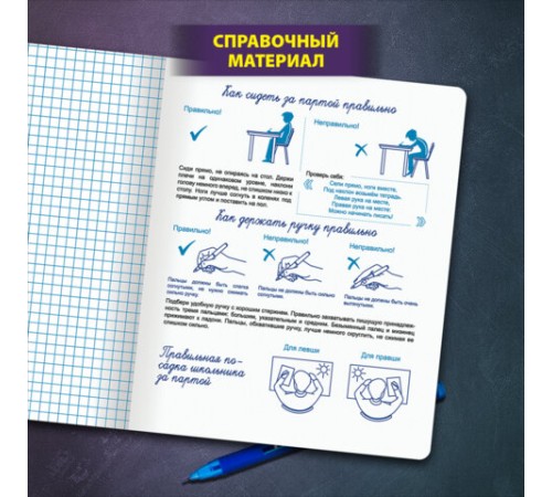 Тетрадь ПРОПИСЬ № 6 12 л. клетка, со справочным материалом, обложка картон, ЮНЛАНДИЯ, 404849