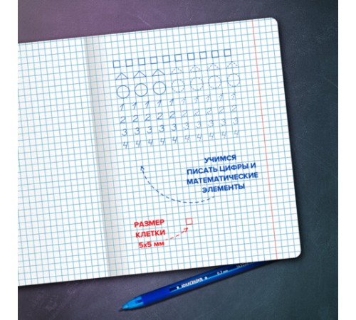 Тетрадь ПРОПИСЬ № 6 12 л. клетка, со справочным материалом, обложка картон, ЮНЛАНДИЯ, 404849