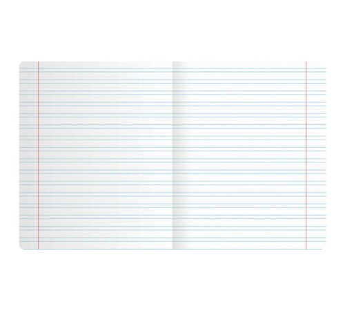 Тетрадь ПРОПИСЬ № 5 12 л. узкая линия, со справочным материалом, обложка картон, ЮНЛАНДИЯ, 404850