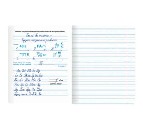 Тетрадь ПРОПИСЬ № 5 12 л. узкая линия, со справочным материалом, обложка картон, ЮНЛАНДИЯ, 404850