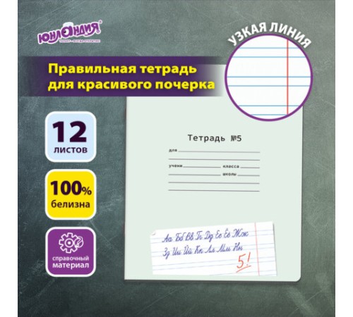 Тетрадь ПРОПИСЬ № 5 12 л. узкая линия, со справочным материалом, обложка картон, ЮНЛАНДИЯ, 404850