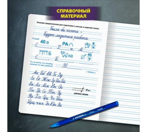 Тетрадь ПРОПИСЬ № 5 12 л. узкая линия, со справочным материалом, обложка картон, ЮНЛАНДИЯ, 404850