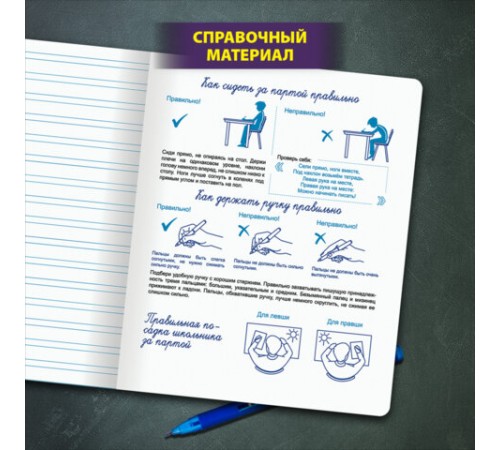 Тетрадь ПРОПИСЬ № 5 12 л. узкая линия, со справочным материалом, обложка картон, ЮНЛАНДИЯ, 404850