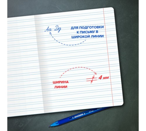 Тетрадь ПРОПИСЬ № 5 12 л. узкая линия, со справочным материалом, обложка картон, ЮНЛАНДИЯ, 404850