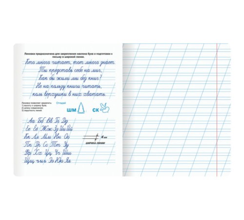 Тетрадь ПРОПИСЬ № 4 12 л. косая линия, со справочным материалом, обложка картон, ЮНЛАНДИЯ, 404851
