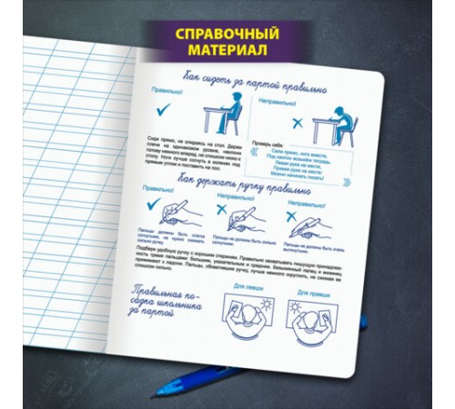 Тетрадь ПРОПИСЬ № 4 12 л. косая линия, со справочным материалом, обложка картон, ЮНЛАНДИЯ, 404851