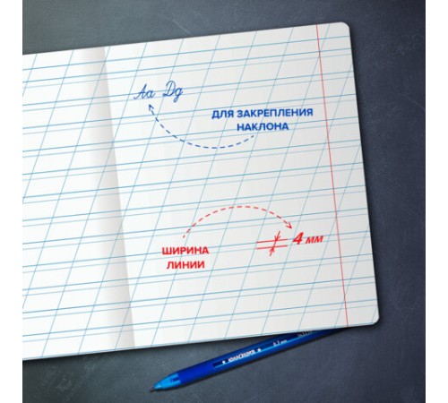 Тетрадь ПРОПИСЬ № 4 12 л. косая линия, со справочным материалом, обложка картон, ЮНЛАНДИЯ, 404851