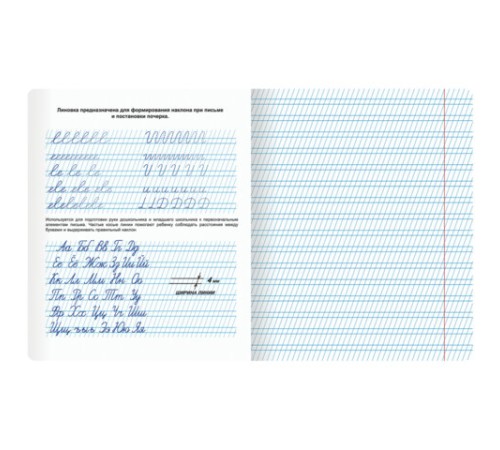 Тетрадь ПРОПИСЬ № 2 12 л. частая косая линия, со справочным материалом, ЮНЛАНДИЯ, 404852