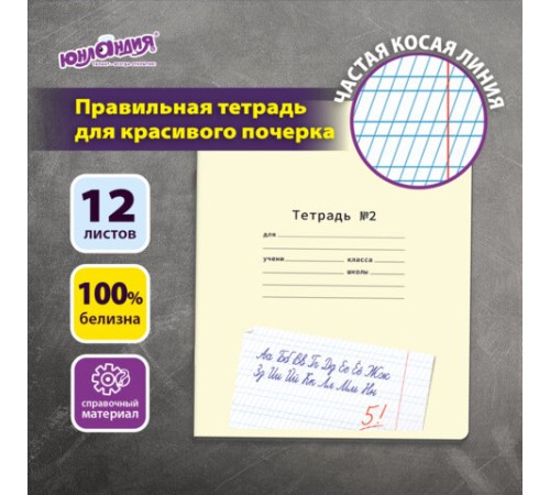 Тетрадь ПРОПИСЬ № 2 12 л. частая косая линия, со справочным материалом, ЮНЛАНДИЯ, 404852