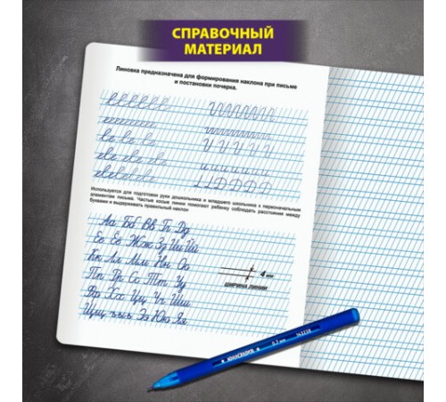 Тетрадь ПРОПИСЬ № 2 12 л. частая косая линия, со справочным материалом, ЮНЛАНДИЯ, 404852