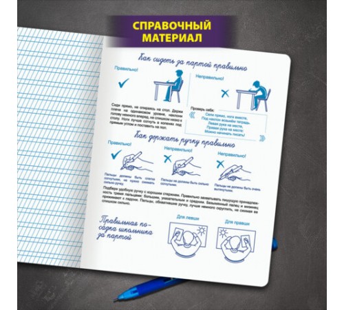Тетрадь ПРОПИСЬ № 2 12 л. частая косая линия, со справочным материалом, ЮНЛАНДИЯ, 404852