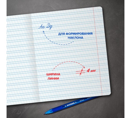 Тетрадь ПРОПИСЬ № 2 12 л. частая косая линия, со справочным материалом, ЮНЛАНДИЯ, 404852