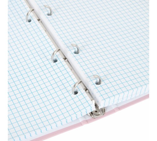 Тетрадь на кольцах А5 175х215 мм, 120 л., твердый картон, матовая ламинация, клетка, BRAUBERG 