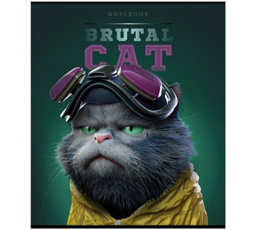 Тетрадь А5 48 л., ПЗБМ, скоба, клетка, конгрев, TWIN-лак, 