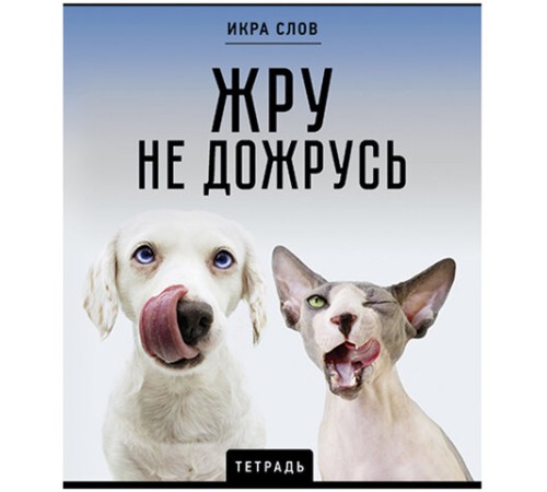 Тетрадь А5 48 л., ПЗБМ, скоба, клетка, конгрев, TWIN-лак, 