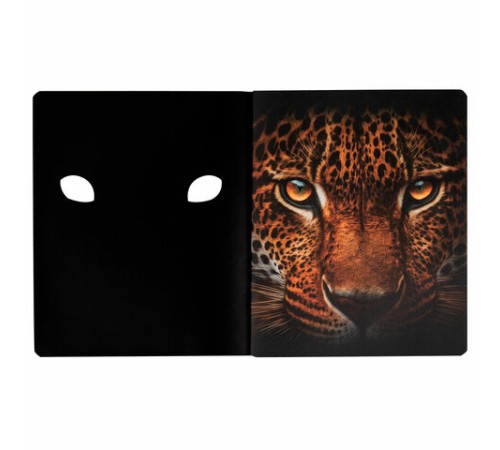 Тетрадь А5 48 л., ПЗБМ, скоба, клетка, матовая ламинация, брайль 3D, вырубка, 