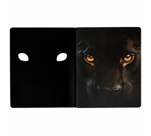 Тетрадь А5 48 л., ПЗБМ, скоба, клетка, матовая ламинация, брайль 3D, вырубка, 