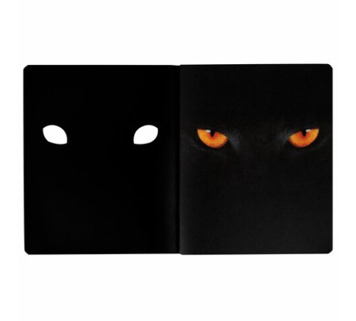 Тетрадь А5 48 л., ПЗБМ, скоба, клетка, матовая ламинация, брайль 3D, вырубка, 