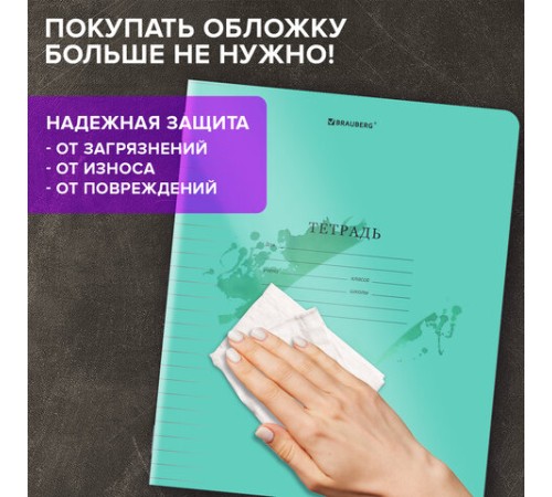 Тетрадь пластиковая обложка (прозрачная) 12 листов, линия, BRAUBERG 