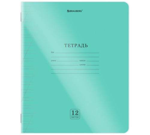 Тетрадь пластиковая обложка (прозрачная) 12 листов, косая линия, BRAUBERG 