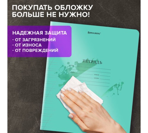 Тетрадь пластиковая обложка (прозрачная) 12 листов, косая линия, BRAUBERG 