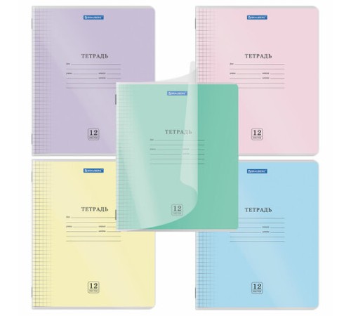 Тетрадь пластиковая обложка (прозрачная) 12 листов, клетка, BRAUBERG 