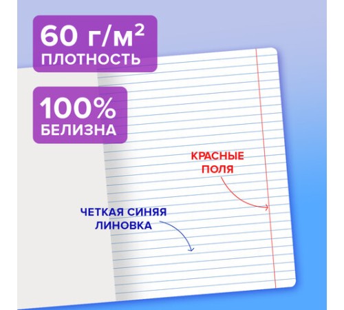 Тетрадь пластиковая обложка (прозрачная) 12 листов, линия, BRAUBERG 